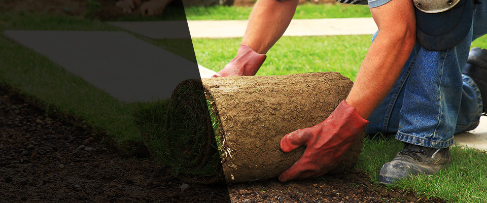 Aroda Landscapers